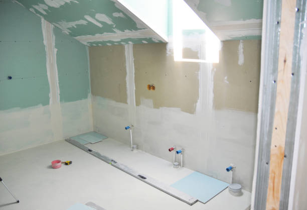 Best Biohazard Mold Removal  in Villas, FL