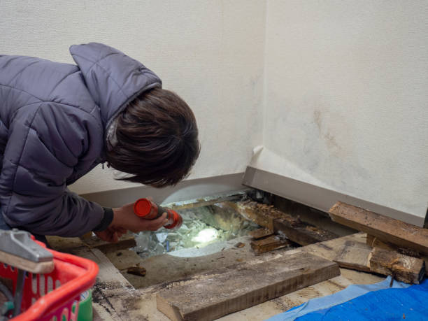 Best HVAC Mold Inspection and Cleaning  in Villas, FL