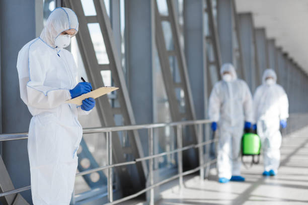 Best Mold Odor Removal Services  in Villas, FL