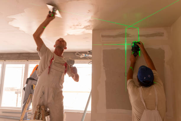 Best Comprehensive Air Testing for Mold Contaminants  in Villas, FL