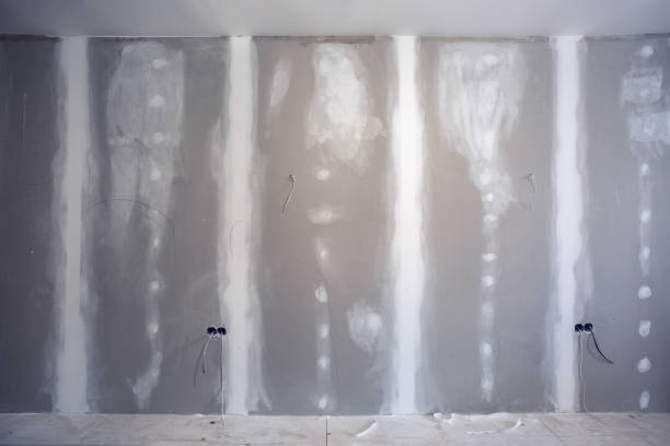 Best Environmental Consulting for Mold Prevention  in Villas, FL